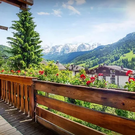 Musini - Ovo Network Le Grand-Bornand